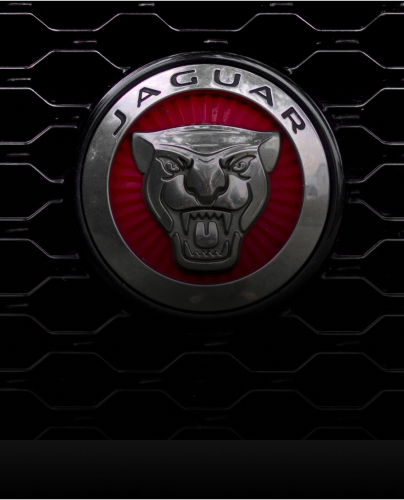 jaguar